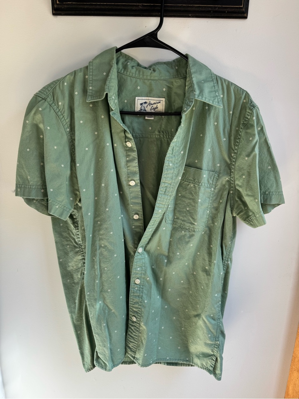American Eagle Outfitters Light Green Short-Sleeve Button-Down Shirt